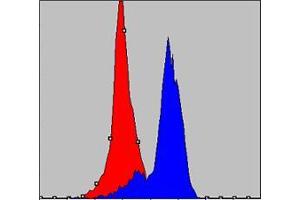 Flow cytometric analysis of K562 cells using COX4I1 mouse mAb (blue) and negative control (red). (COX IV Antikörper)