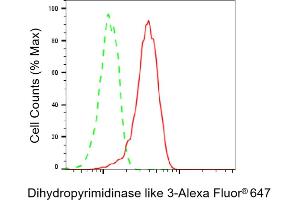 Flow cytometric analysis of Dihydropyrimidinase like 3 expression in HT- cells using Dihydropyrimidinase like 3 antibody (ABIN7798338), 1:2,000). (Rekombinanter DPYSL3 Antikörper)