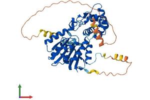 Protein Structure (PS) image for Methyltransferase 5 Domain Containing 1 (METT5D1) (AA 1-406) protein (His tag) (ABIN7561340)