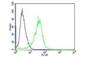 Flow cytometric analysis of A431 cells using PCSK9 antibody (green) compared to an isotype control of rabbit IgG (blue). (PCSK9 Antikörper  (AA 144-173))