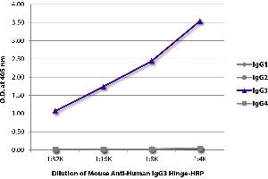 ELISA plate was coated with purified human IgG1, IgG2, IgG3, and IgG4. (Maus anti-Human IgG3 (Hinge Region) Antikörper (HRP))