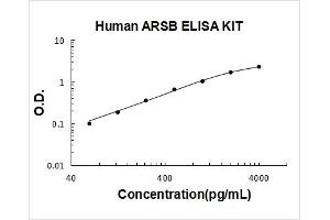 Arylsulfatase B (ARSB) ELISA Kit