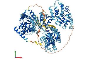 Protein Structure (PS) image for DEAD (Asp-Glu-Ala-Asp) Box Polypeptide 58 (DDX58) (AA 1-926) protein (His tag) (ABIN7564141)