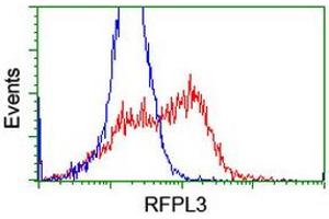Flow Cytometry (FACS) image for anti-Ret Finger Protein-Like 3 (RFPL3) antibody (ABIN1500676) (RFPL3 Antikörper)