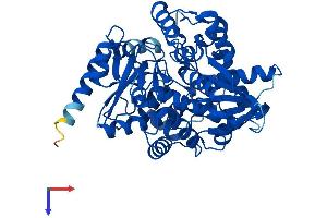 THNSL2 Protein (AA 1-483) (His tag)