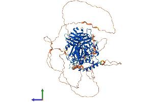 Protein Structure (PS) image for ATP/GTP Binding Protein-Like 5 (AGBL5) (AA 1-886) protein (His tag) (ABIN7563616)
