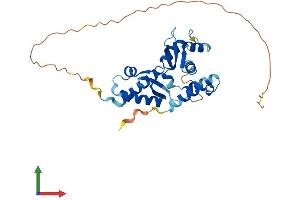 Protein Structure (PS) image for Necdin-Like 2 (NDNL2) (AA 1-304) protein (His tag) (ABIN7549824)