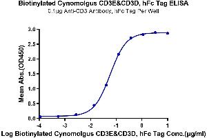 Immobilized Anti-CD3, hFc Tag Antibody at 5 μg/mL (100 μL/well) on the plate.