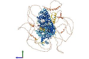 Protein Structure (PS) image for Synaptojanin 1 (SYNJ1) (AA 1-1574) protein (His tag) (ABIN7564580)