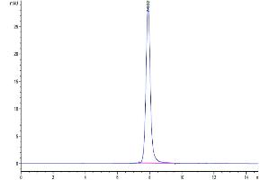 Size-exclusion chromatography-High Pressure Liquid Chromatography (SEC-HPLC) image for Tumor Necrosis Factor Receptor Superfamily, Member 10a (TNFRSF10A) (AA 34-239) protein (Fc Tag) (ABIN7275776)