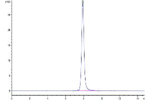 The purity of Human TRAIL R1 is greater than 95 % as determined by SEC-HPLC.