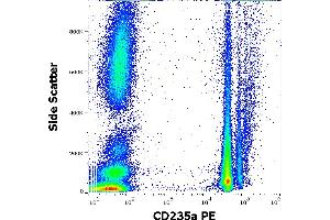 Flow cytometry surface staining pattern of human peripheral whole blood stained using anti-human CD235a (JC159) PE antibody (10 μL reagent / 100 μL of peripheral whole blood). (CD235a/GYPA Antikörper  (PE))