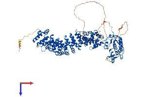 ARMC3 Protein (AA 1-881) (His tag)