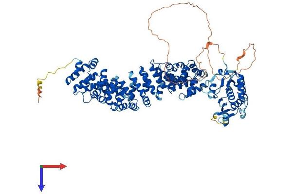 ARMC3 Protein (AA 1-881) (His tag)