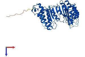 FBXO39 Protein (AA 1-443) (His tag)