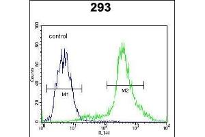 CTNNB1 Antibody (N-term) flow cytometric analysis of 293 cells (right histogram) compared to a negative control cell (left histogram). (CTNNB1 Antikörper  (N-Term))