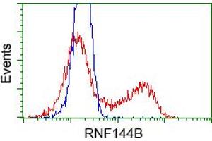 HEK293T cells transfected with either RC209302 overexpress plasmid(Red) or empty vector control plasmid(Blue) were immunostained by anti-RNF144B antibody(TA500698), and then analyzed by flow cytometry. (RNF144B Antikörper  (AA 1-256))