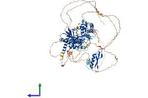 Protein Structure (PS) image for Interleukin enhancer-binding factor 3 (ILF3) (AA 1-898) protein (His tag) (ABIN7565285)