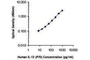 ELISA image for anti-Interleukin 12 (IL12) antibody (ABIN2665102) (IL12 Antikörper)