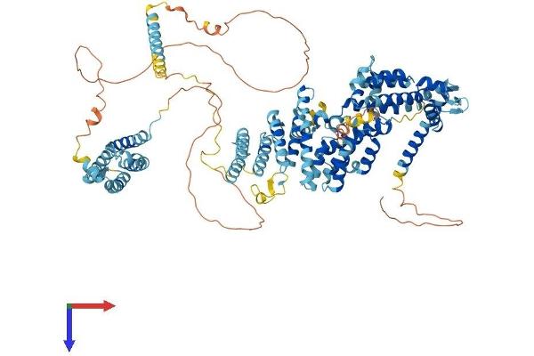 EIF3C Protein (AA 1-911) (His tag)