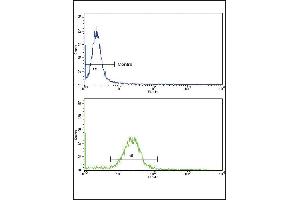 Flow cytometric analysis of MDA-231 cells using EPN3 Antibody (N-term)(bottom histogram) compared to a negative control cell (top histogram). (EPN3 Antikörper  (N-Term))