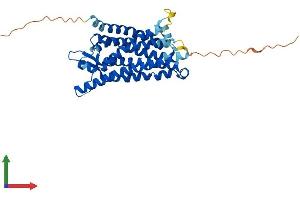 Protein Structure (PS) image for Formyl Peptide Receptor 2 (FPR2) (AA 1-351) protein (His tag) (ABIN7547780)