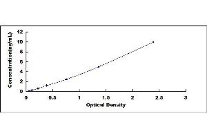 Typical standard curve (CYBB ELISA Kit)