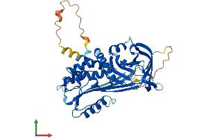 Protein Structure (PS) image for Plasminogen Activator Inhibitor 2 (SERPINB2) (AA 1-415) protein (His tag) (ABIN7550490)