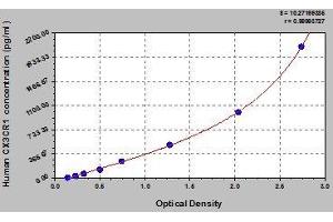 Typical standard curve (CX3CR1 ELISA Kit)