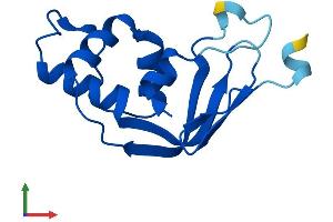 Protein Structure (PS) image for tRNA Methyltransferase 11-2 (TRMT112) (AA 1-125) protein (His tag) (ABIN7544584)