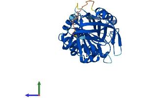AlphaFold protein structure predicition of Mouse Recombinant Serpinb1a Protein, UniprotID Q9D154