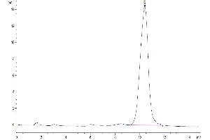 Size-exclusion chromatography-High Pressure Liquid Chromatography (SEC-HPLC) image for Receptor Tyrosine Kinase-Like Orphan Receptor 1 (ROR1) (AA 39-151) protein (His tag) (ABIN7275527)