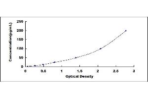 ELISA image for Cathepsin G (CTSG) ELISA Kit (ABIN4947440)