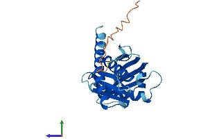 Protein Structure (PS) image for Exosome Component 5 (EXOSC5) (AA 1-235) protein (His tag) (ABIN7564940)