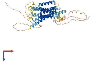 GPR135 Protein (AA 1-457) (His tag)