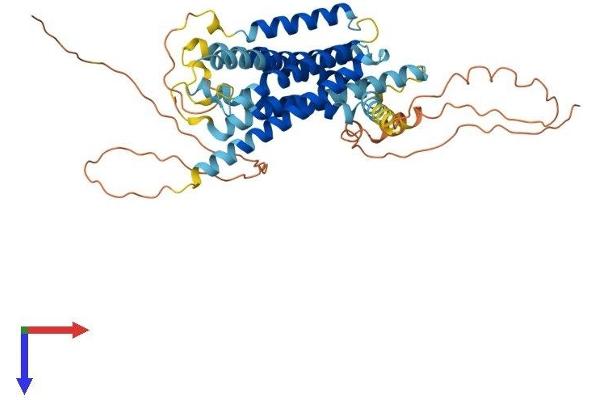 GPR135 Protein (AA 1-457) (His tag)