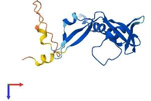 RNASEH2C Protein (AA 1-166) (His tag)