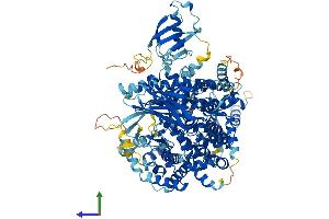 Protein Structure (PS) image for Phosphoinositide-3-Kinase, Catalytic, beta Polypeptide (PIK3CB) (AA 1-1070) protein (His tag) (ABIN7554931)