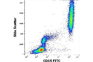 Flow cytometry surface staining pattern of human peripheral whole blood stained using anti-human CD15 (MEM-158) FITC antibody (20 μL reagent / 100 μL of peripheral whole blood). (CD15 Antikörper  (FITC))