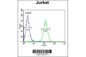 Flow Cytometry (FACS) image for anti-Axin 2 (AXIN2) (AA 816-843) antibody (ABIN3030089)