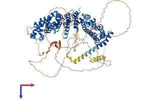 PPP6R3 Protein (AA 1-844) (His tag)