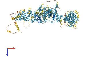 FANCA Protein (AA 1-1439) (His tag)