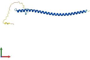 Protein Structure (PS) image for MAP3K7 C-Terminal Like (MAP3K7CL) (AA 1-142) protein (His tag) (ABIN7556522)
