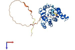 CMSS1 Protein (AA 1-276) (His tag)