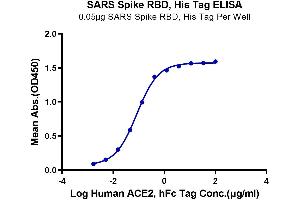 Immobilized SARS Spike RBD at 0. (SARS-CoV Spike Protein (RBD) (His-Avi Tag))