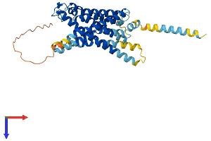 GPR87 Protein (AA 1-358) (His tag)