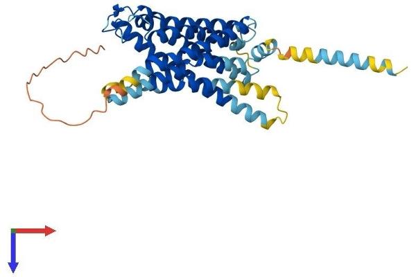 GPR87 Protein (AA 1-358) (His tag)