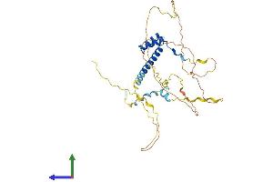 Protein Structure (PS) image for H6 Family Homeobox 3 (HMX3) (AA 1-356) protein (His tag) (ABIN7563246)