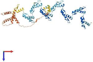 AlphaFold protein structure predicition of Human Recombinant ZNF676 Protein, UniprotID Q8N7Q3