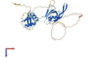 PARD6B Protein (AA 1-372) (His tag)